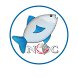 noc-mwanza